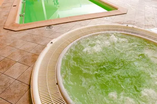 Fotos del hotel Keizarmezs:  5