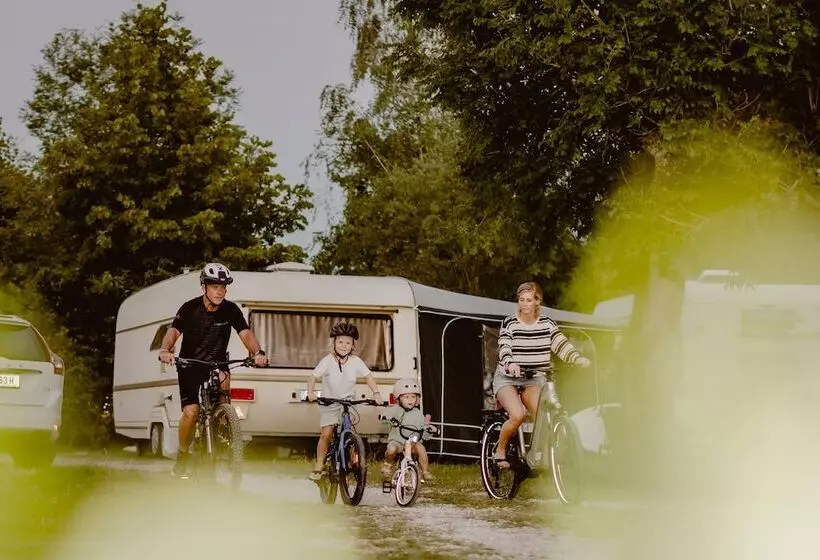 Fotos del hotel See Berau:  15