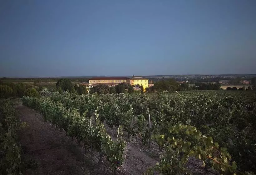 Fotos del hotel Torremilanos:  4