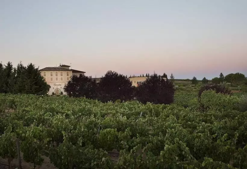 Fotos del hotel Torremilanos:  6