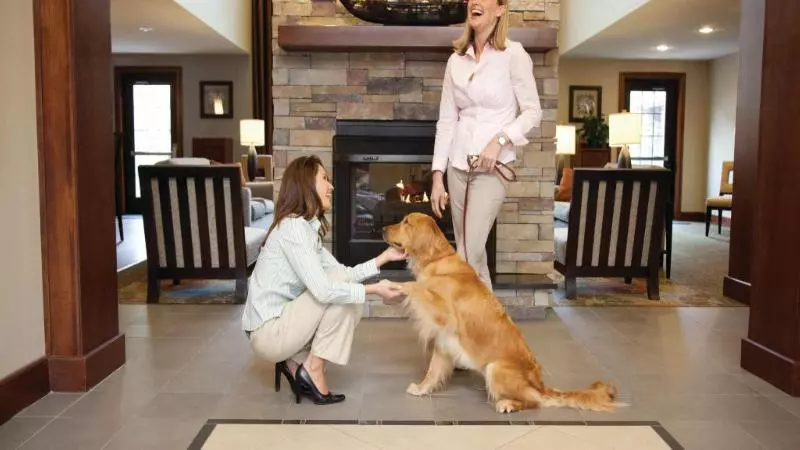 Fotos del hotel Staybridge Suites Houston West - Energy Corridor, An Ihg:  24