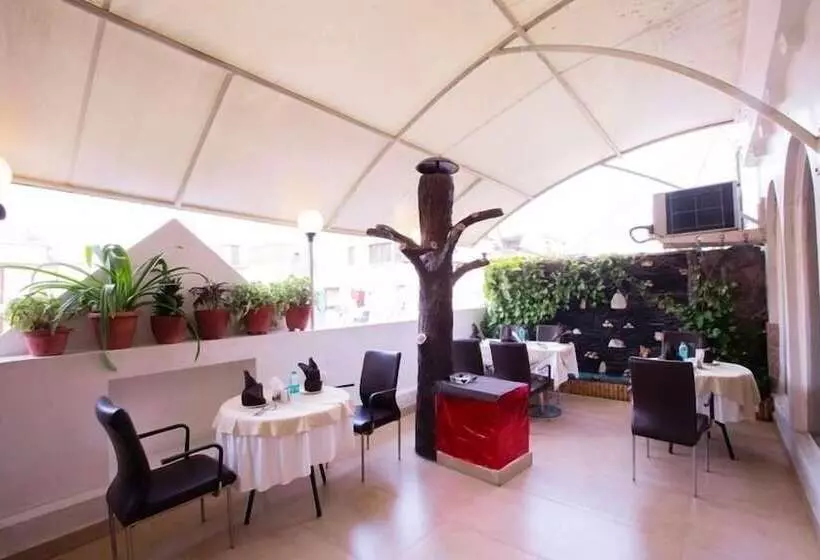 Fotos del hotel Surya International:  6