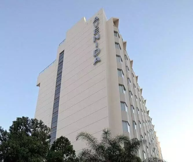 Fotos del hotel Avenida:  14