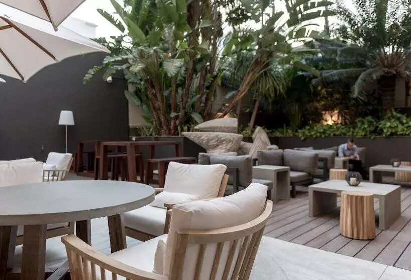 Fotos del hotel Avenida:  20