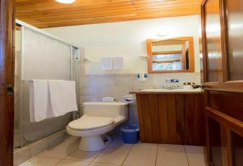 Fotos del hotel Monteverde Country Lodge:  5