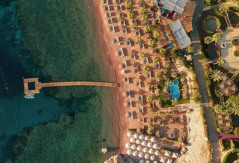 Fotos del hotel Royal Savoy Sharm El Sheikh:  15