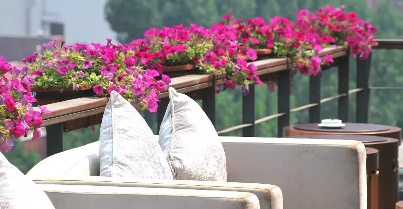 Fotos del hotel Gotel Capital:  8