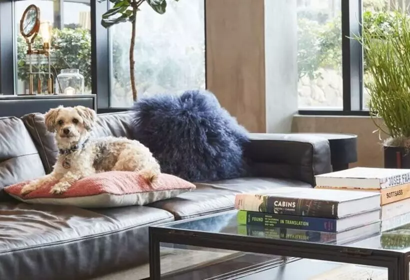 Fotos del hotel Kabuki, Part Of Jdv By Hyatt:  17