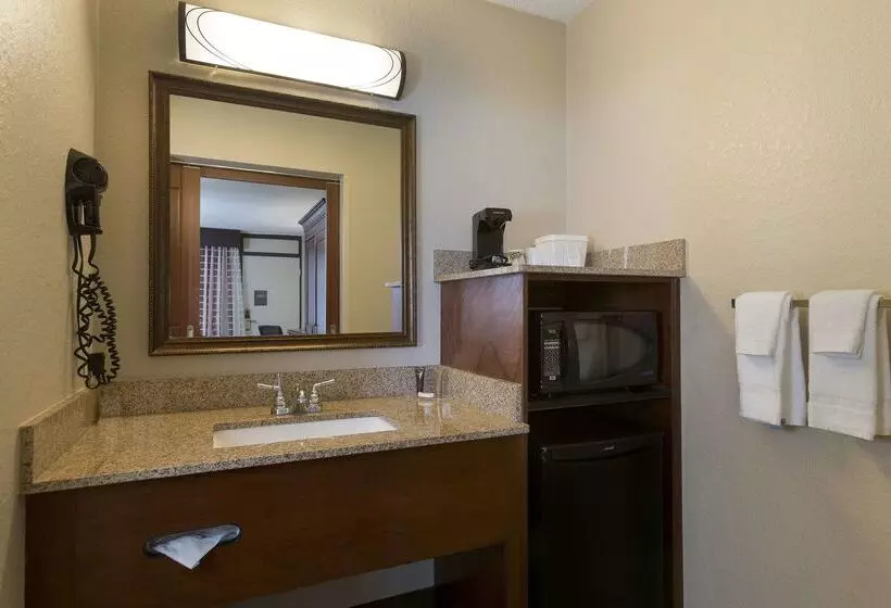 Fotos del hotel Rosen Inn International Near The Parks:  28