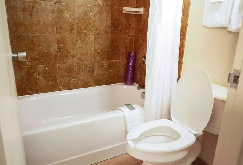 Fotos del hotel Rosen Inn International Near The Parks:  27