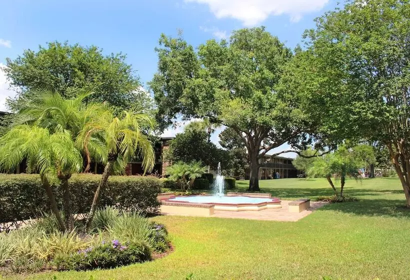 Fotos del hotel Rosen Inn International Near The Parks:  48