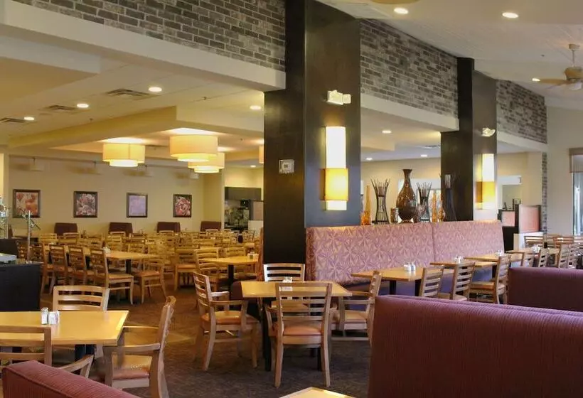 Fotos del hotel Rosen Inn International Near The Parks:  41