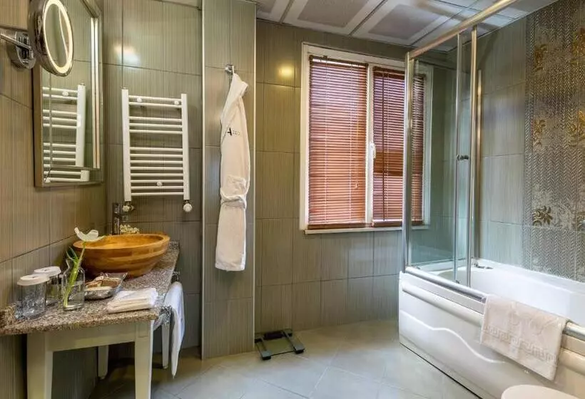 Fotos del hotel Amira Istanbul:  18