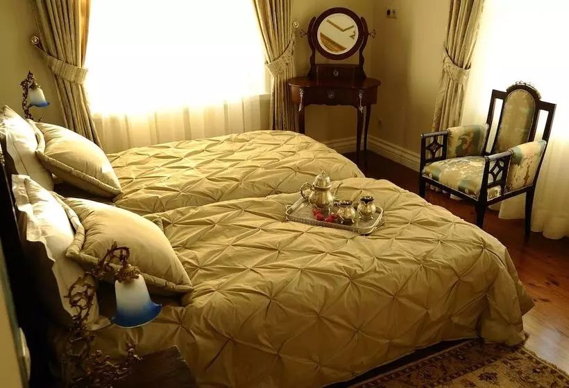 Fotos del hotel Erten Konak:  6