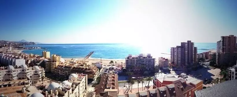 Fotos del hotel La Familia Gallo Rojo:  16