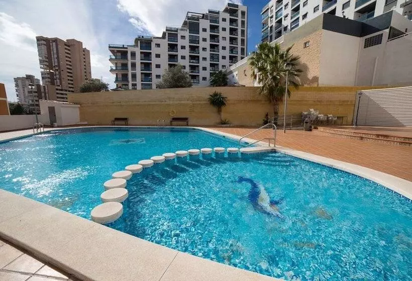 Fotos del hotel La Familia Gallo Rojo:  17