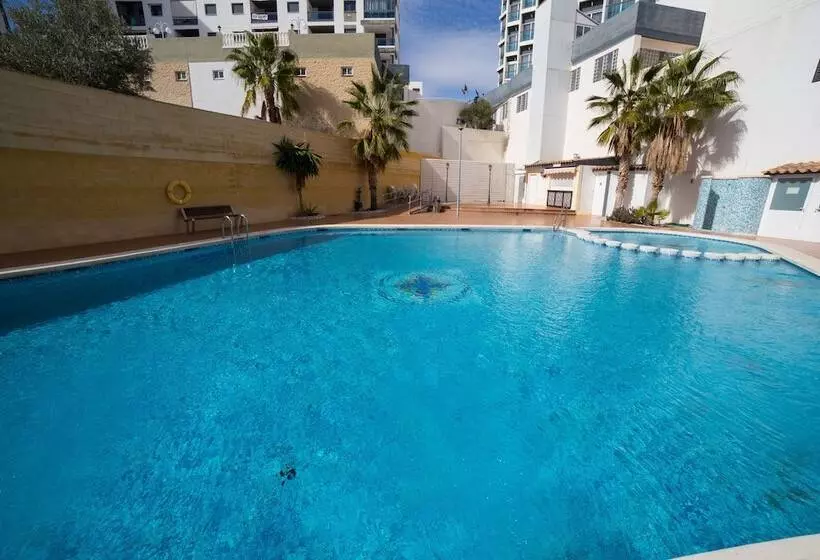 Fotos del hotel La Familia Gallo Rojo:  1