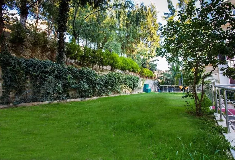 Fotos del hotel Saturn:  11