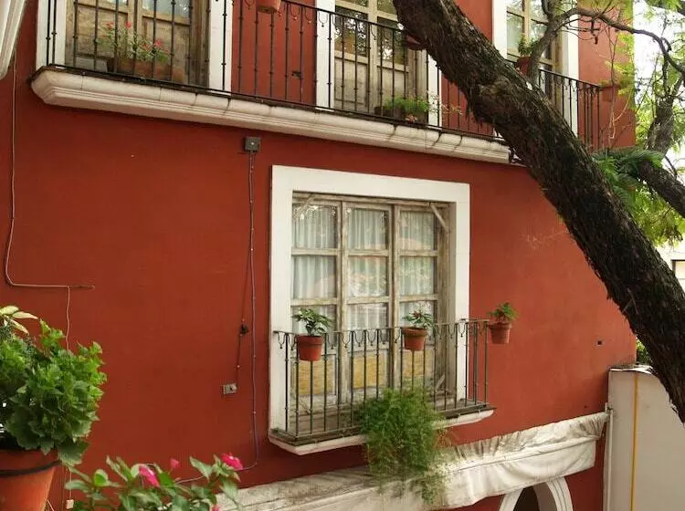 Fotos del hotel Ana Catalina And Suites:  6