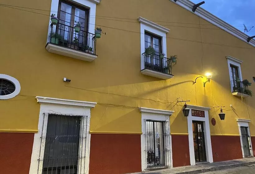 Fotos del hotel Ana Catalina And Suites:  10