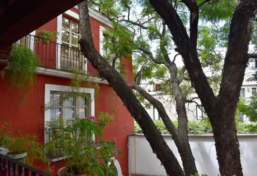 Fotos del hotel Ana Catalina And Suites:  14