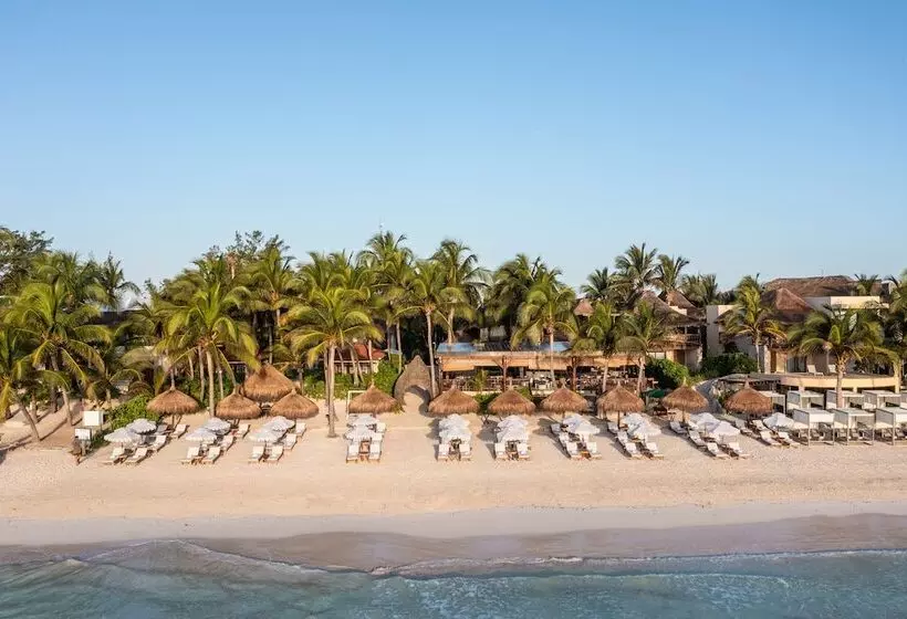 Fotos del hotel Ana Y Jose Hotel & Spa Tulum:  22