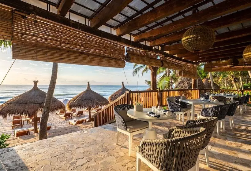 Fotos del hotel Ana Y Jose Hotel & Spa Tulum:  13