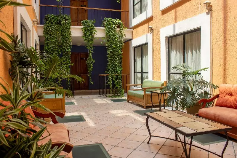 Fotos del hotel Capital O Oaxaca Dorado:  10