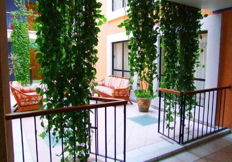 Fotos del hotel Capital O Oaxaca Dorado:  4