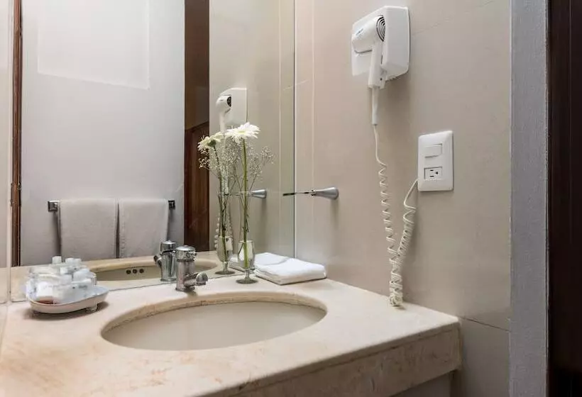 Fotos del hotel Casa Virreyes:  6