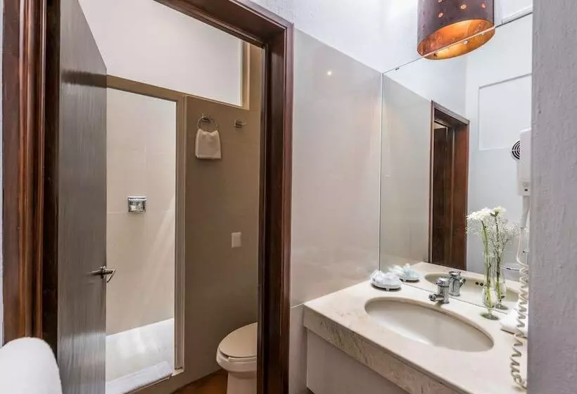 Fotos del hotel Casa Virreyes:  12