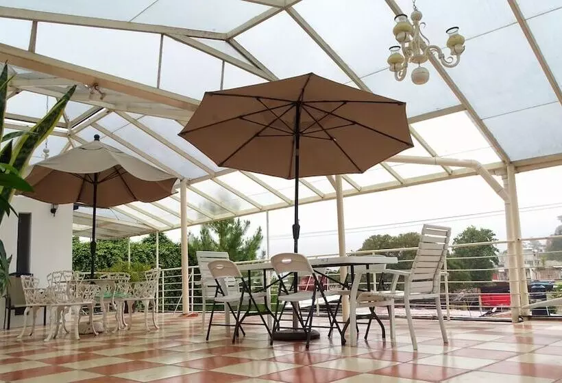 Fotos del hotel Jardines Del Carmen:  5