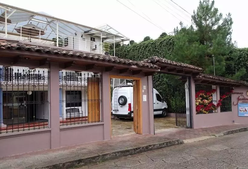 Fotos del hotel Jardines Del Carmen:  11