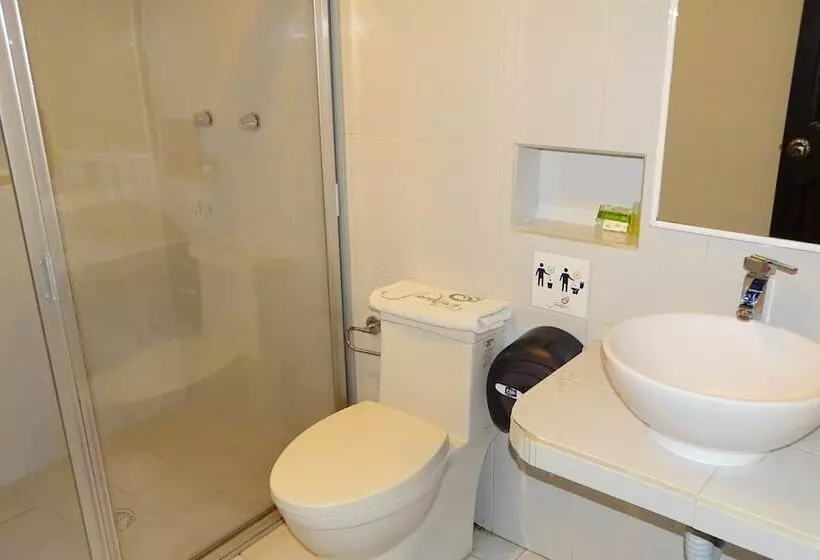 Fotos del hotel Jardines Del Carmen:  6