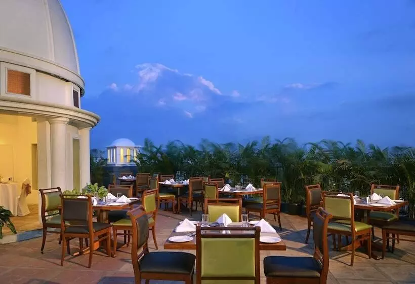 Fotos del hotel Jp Cordial:  7