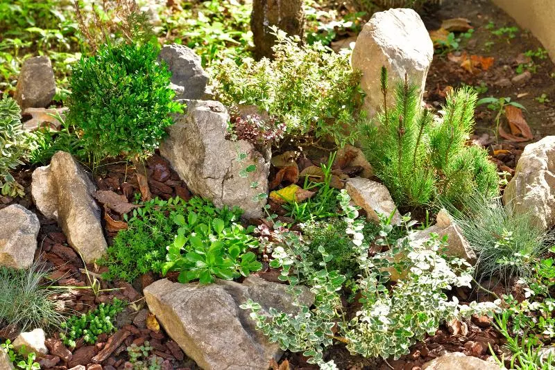 Fotos del hotel Orient Express:  3