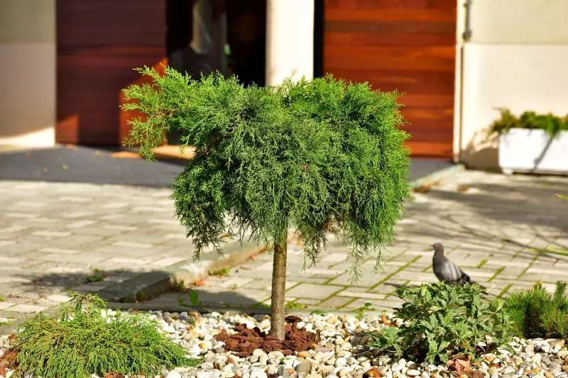 Fotos del hotel Orient Express:  6