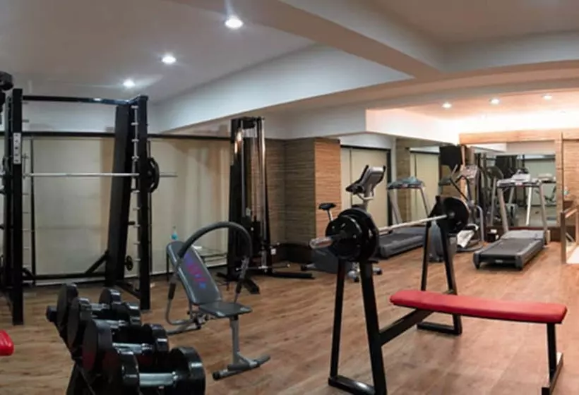 Fotos del hotel Royal Orchid Golden Suites:  4