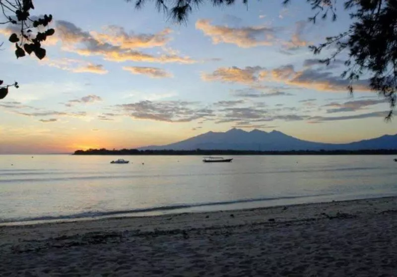 Fotos del hotel Villa Almarik:  10