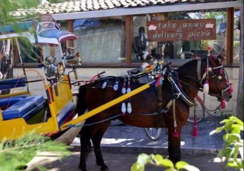 Fotos del hotel Villa Almarik:  9