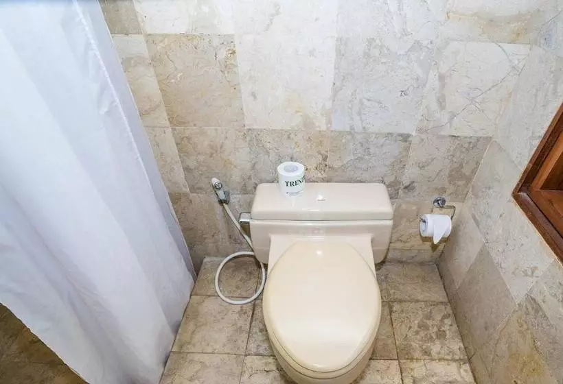 Fotos del hotel Villa Diana Bali:  10