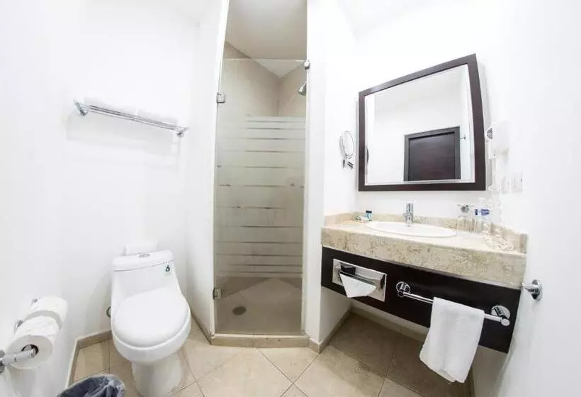 Fotos del hotel Oliba:  14