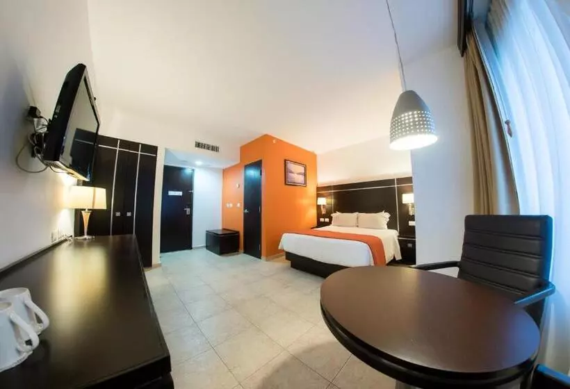 Fotos del hotel Oliba:  20