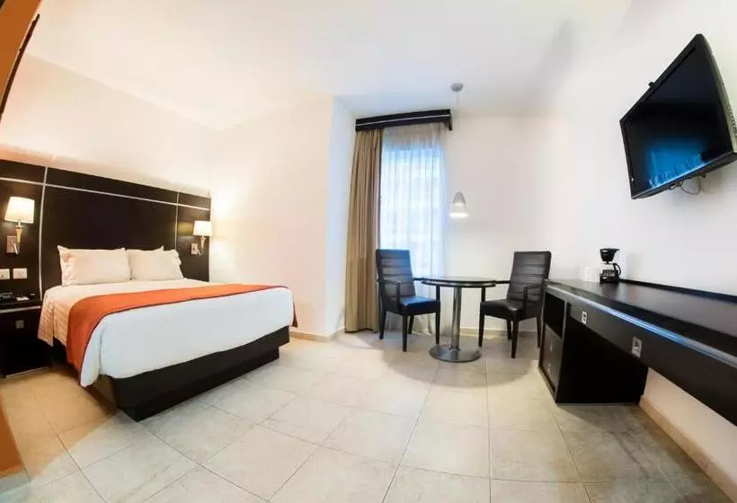 Fotos del hotel Oliba:  21