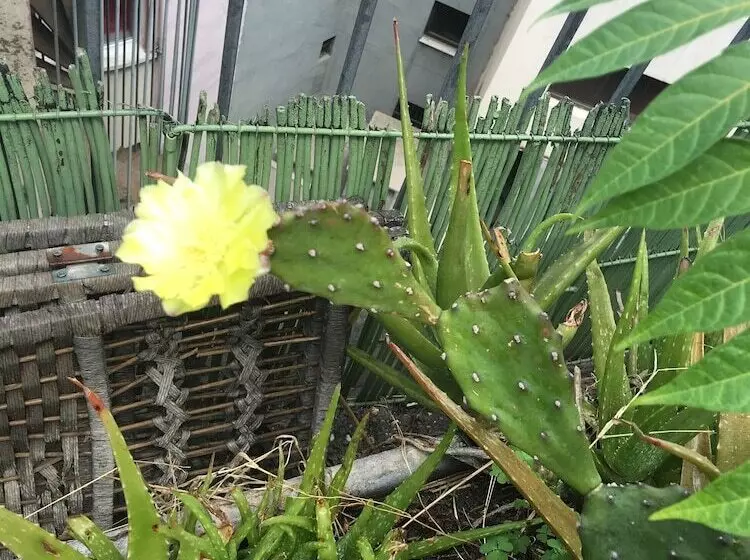 Fotos del hotel Guzel Izmir Oteli:  21