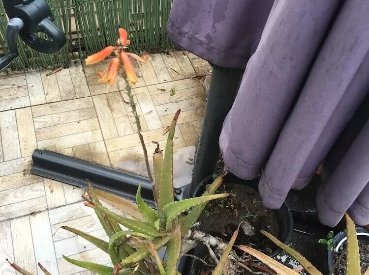 Fotos del hotel Guzel Izmir Oteli:  20