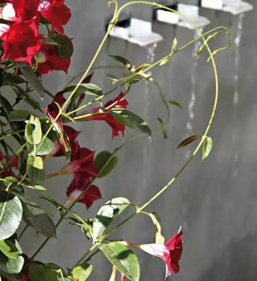 Fotos del hotel Hôtel Montaigne & Spa:  17