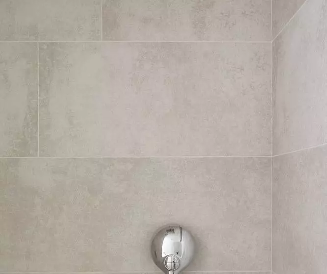 Fotos del hotel Hôtel Des Champselysées:  5