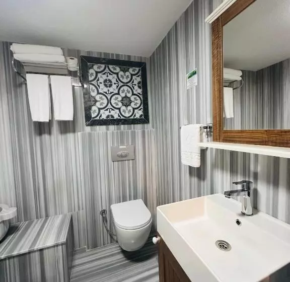 Fotos del hotel Ferman  Old City Special Category:  4