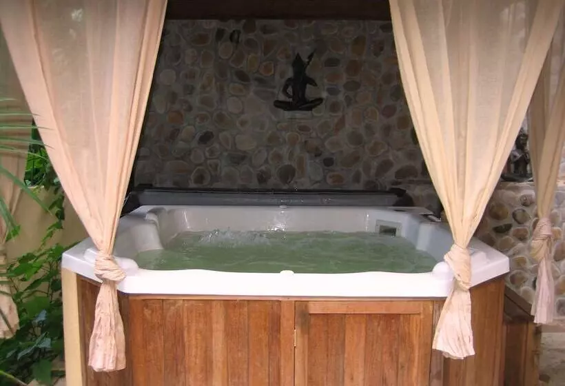 Fotos del hotel Boutique Hotel Gávea Tropical:  13